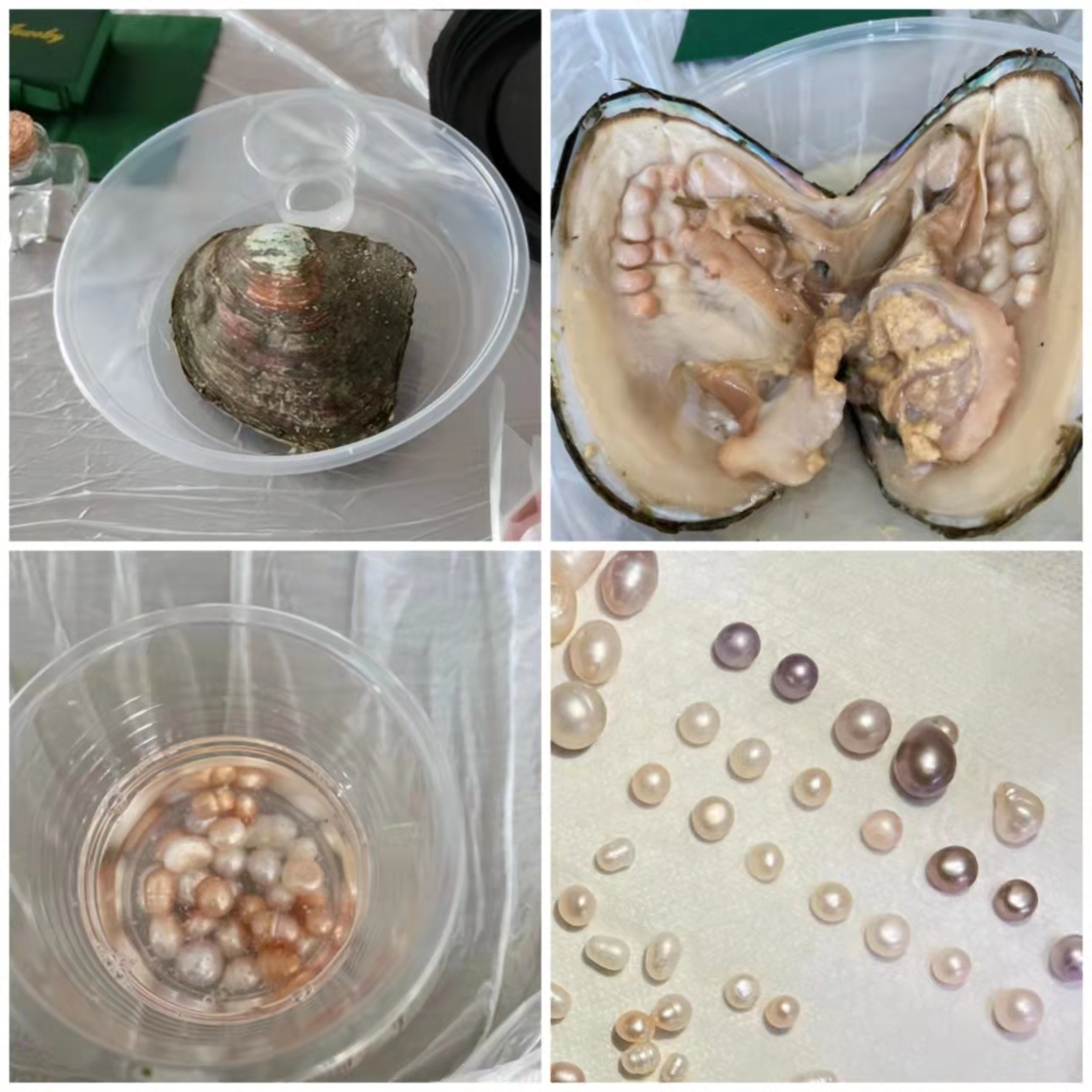 足球预测app