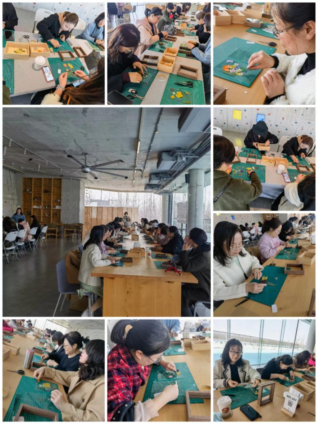 足球预测app